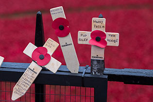 Remembrance preparations